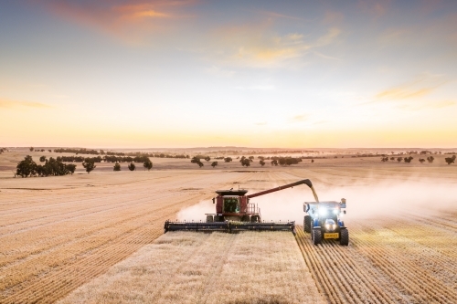 Harvester unloading into chaser bin at dusk - Australian Stock Image