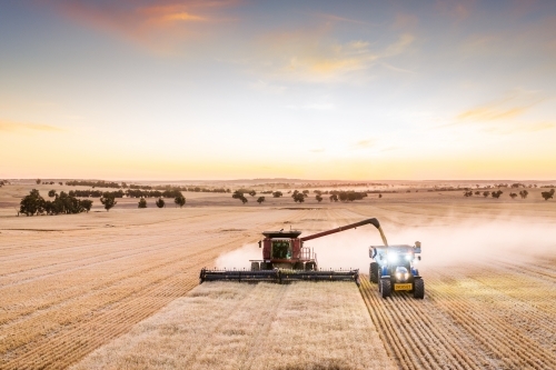 Harvester unloading into chaser bin at dusk