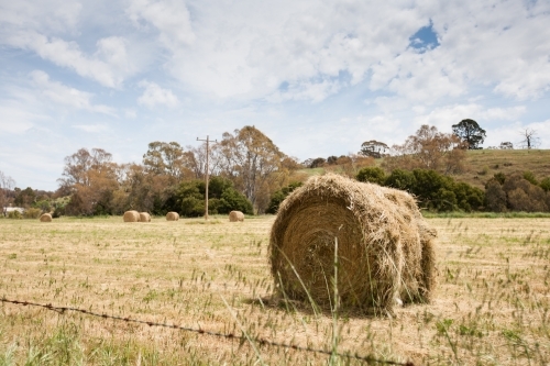 Hay bales in a paddock behind a barbed wire fence - Australian Stock Image