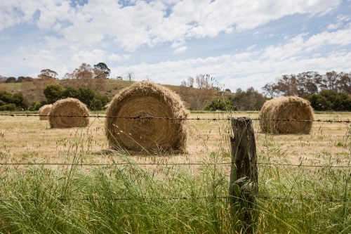 Hay bales in a paddock behind a barbed wire fence