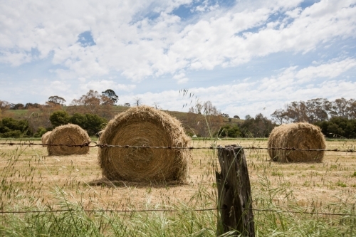 Hay bales in paddock behind a barbed wire fence