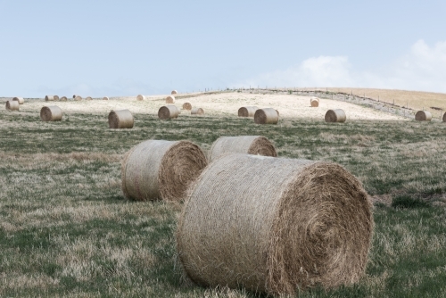 hay bales on the land - Australian Stock Image