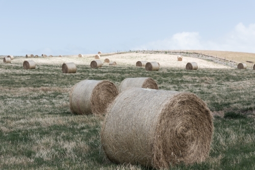 hay bales on the land
