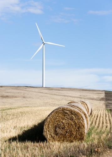 Hay bales with wind turbine in background