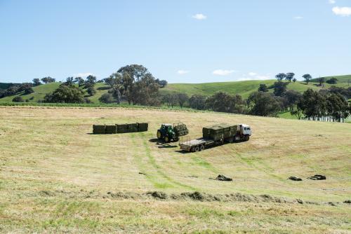 Hay carting on the farm - Australian Stock Image