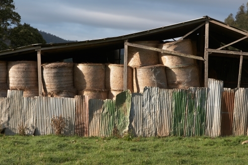 Hayshed in NW Tasmania - Australian Stock Image