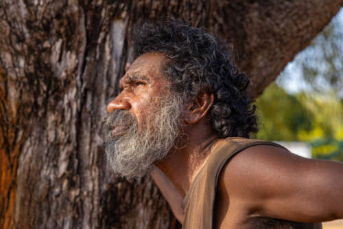 head and shoulders of first nations australian man in profile against the bark of a tree trunk - Australian Stock Image