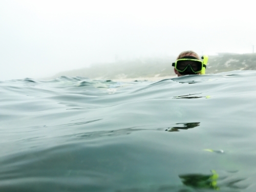 Head of a snorkeler just above the water - Australian Stock Image