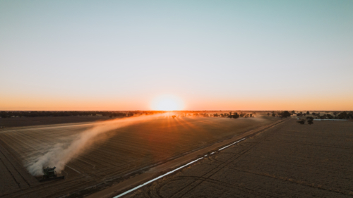 Header during harvest at sunset aerial view - Australian Stock Image