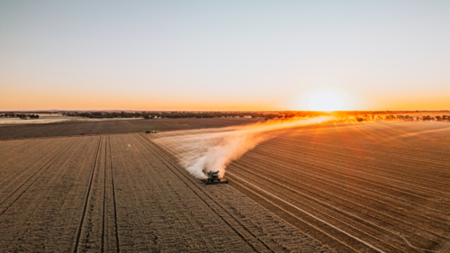 Header during harvest at sunset aerial view - Australian Stock Image