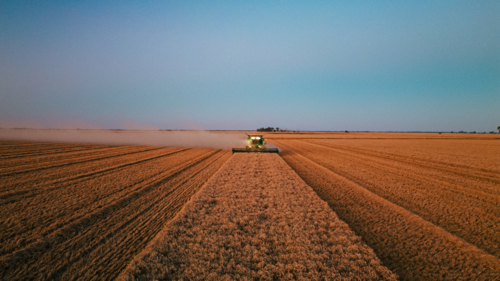 Header during harvest at sunset - Australian Stock Image