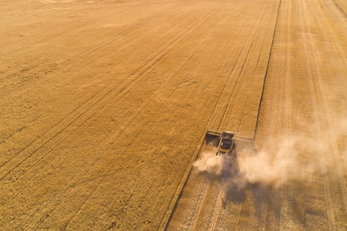 Header harvesting a barley crop.