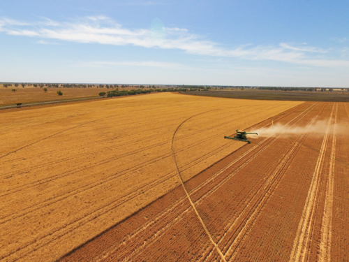Header in Paddock - Australian Stock Image