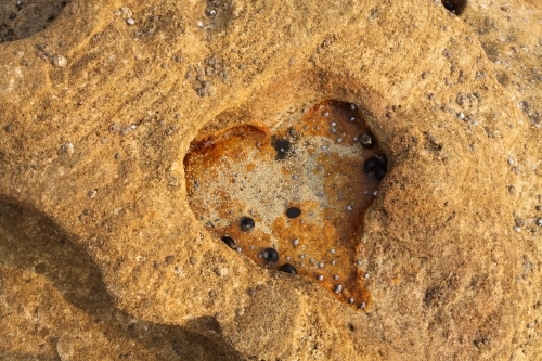 Heart shape eroded into coastal rock