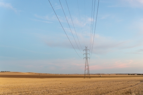 High voltage power lines in rural landscape - Australian Stock Image