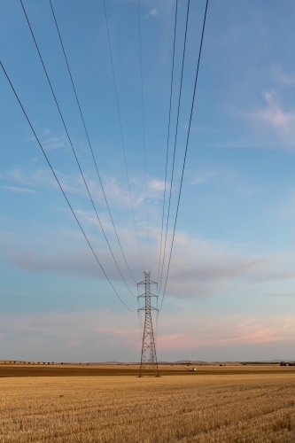 High voltage power lines in rural landscape - Australian Stock Image
