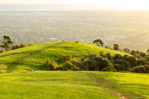 Hill overlooking Adelaide at sunset - Australian Stock Image