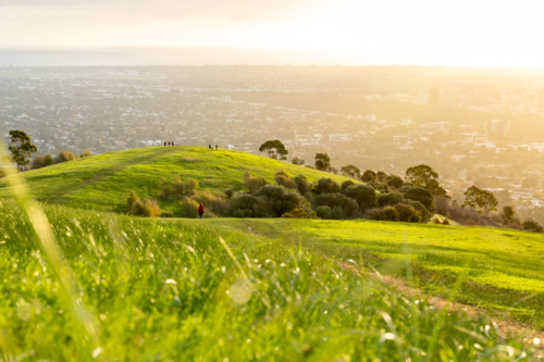 Hill overlooking Adelaide at sunset - Australian Stock Image