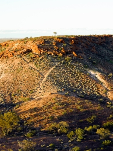 Hill with one tree at the breakaways - Australian Stock Image
