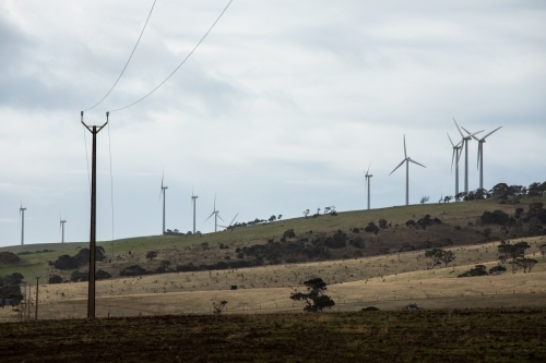 Hillside with wind turbines and power lines on a n overcast day. - Australian Stock Image