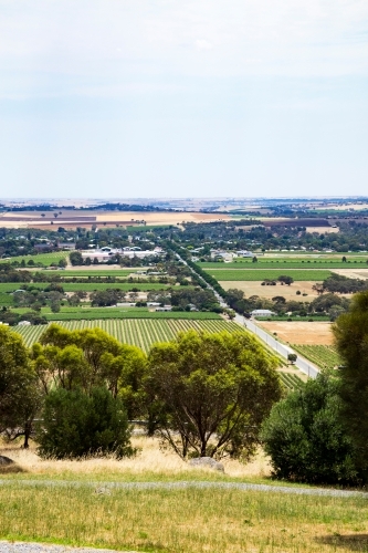 hilltop view over vineyards and town - Australian Stock Image