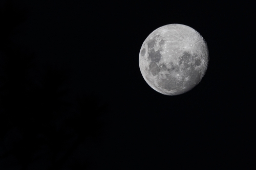 horizontal close up shot of a full moon - Australian Stock Image