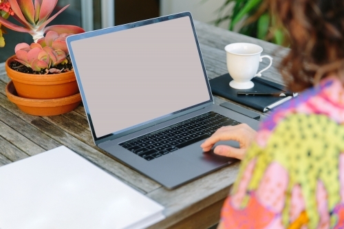 horizontal pic of a person using a laptop on a table with white tea cup and plants on a pot
