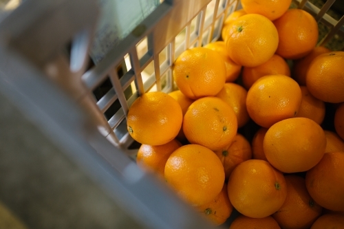 Horizontal shot of a basket of oranges