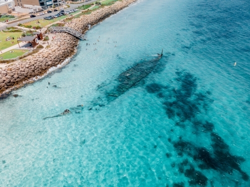 horizontal shot of a beach with people swimming,  white sand, grass, parked cars, buildings - Australian Stock Image