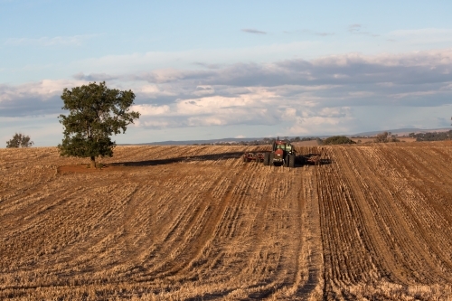 horizontal shot of a field for planting crops with a tractor and a tree on a sunny day