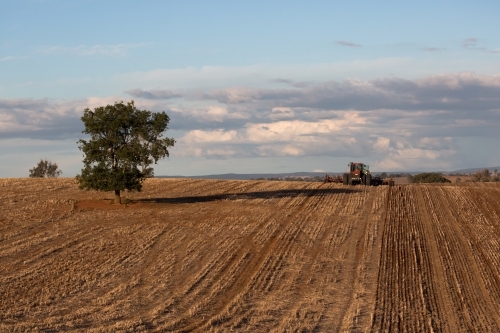 horizontal shot of a field for planting crops with a tractor and a tree on a sunny day