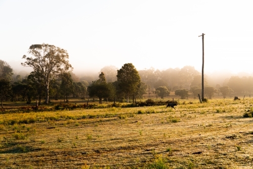 Horizontal shot of a foggy countryside at sunrise