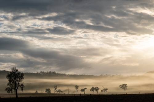 Horizontal shot of a foggy mountain field at sunrise - Australian Stock Image