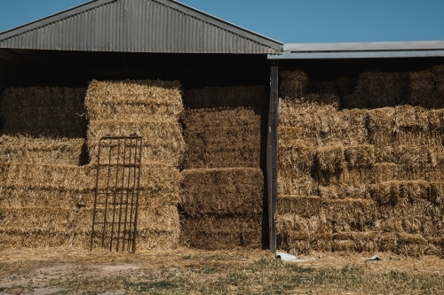 Horizontal shot of a Hay Bales stored in a shed on rural property