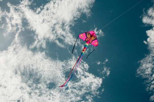 Horizontal shot of a kite flying in the blue sky.