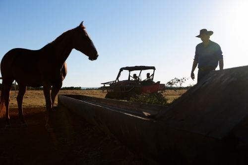 Horizontal shot of a man and his horse - Australian Stock Image