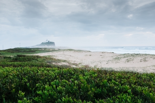 horizontal shot of a misty remote beach park with shrubs and white sand on a cloudy day - Australian Stock Image