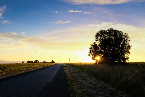 horizontal shot of a road on a sunset afternoon with a silhouette of trees and electrical posts