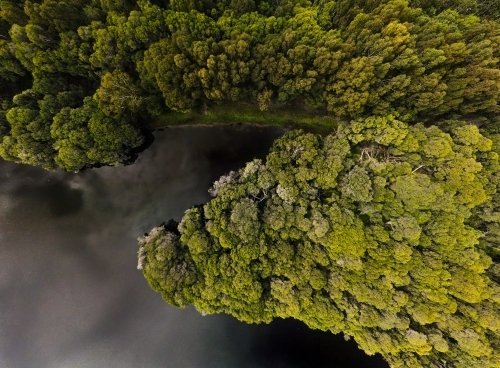 horizontal shot of an island with green trees and bushes beside a river - Australian Stock Image