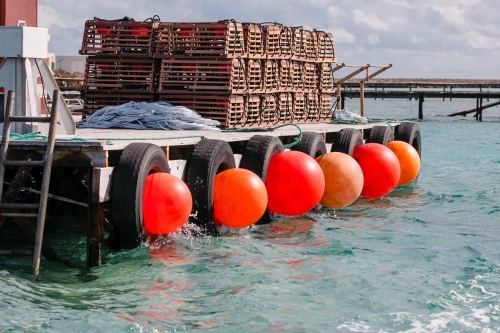 Horizontal shot of commercial cray fishing equipment on a jetty