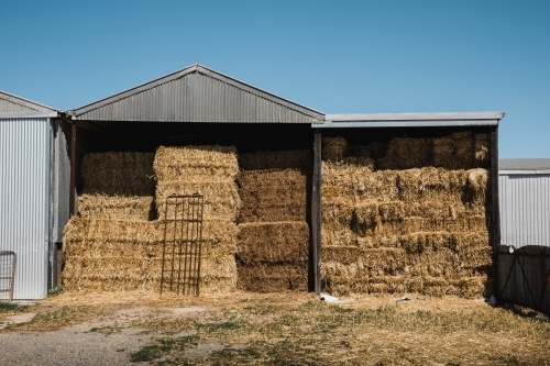 Horizontal shot of hay bales stored in a shed on rural property