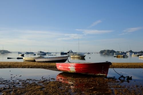 horizontal shot of several small boats docked in a low tide sea on a sunny day