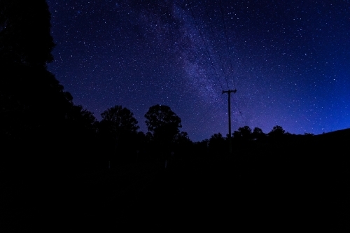 horizontal shot of some silhouette of trees, bushes and electric post of wires at dawn with stars - Australian Stock Image
