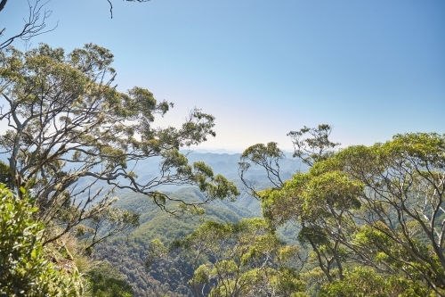 Horizontal shot of trees on mountain tops on a sunny day - Australian Stock Image