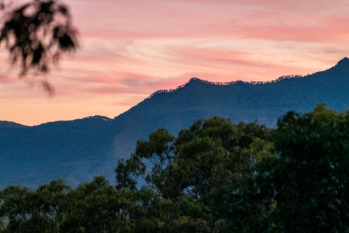 Horizontal shot of trees with mountain background under pink skies - Australian Stock Image
