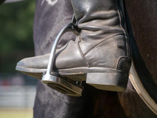 Horse riding boot in a stirrup - Australian Stock Image