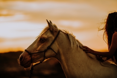 Horse riding on beach - Australian Stock Image