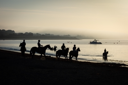 Horses at sunrise on a Victorian beach - Australian Stock Image