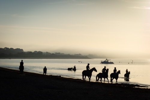 Horses at sunrise on a Victorian beach