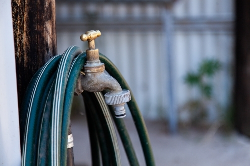 Hose around tap next to shed - Australian Stock Image